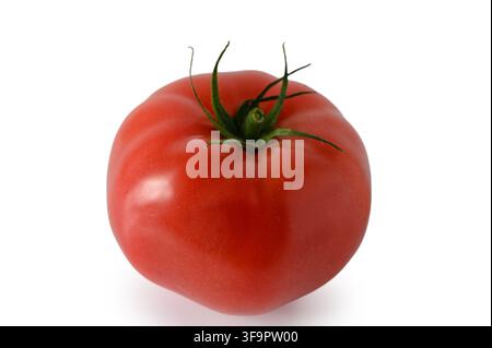 Tomate juteuse et mûre avec une goutte d'eau isolée sur fond blanc. Texture cutanée détaillée et couleur rouge vibrante. Idéale pour la publicité alimentaire, cuisine b Banque D'Images