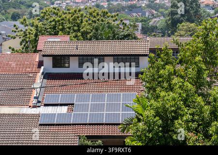 Toits de maisons résidentielles équipés de panneaux photovoltaïques solaires, entourés d’une végétation tropicale luxuriante, illustrant l’adoption des énergies renouvelables Banque D'Images
