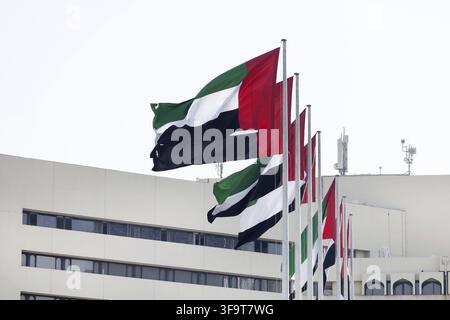 Drapeaux des Émirats arabes unis flottant à l'extérieur à Abu Dhabi. Jour national des Émirats arabes unis. Jour du drapeau des Émirats arabes unis. Concept d'indépendance et de patriotisme Banque D'Images
