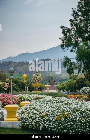Paysage coloré de jardin de fleurs au parc royal Rajapruek à Chiang mai, parc botanique pittoresque avec fleurs en fleurs et pavillon de temple en Thaïlande Banque D'Images