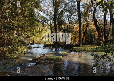 La rivière tranquille coule à travers une forêt luxuriante, créant un paysage serein et pittoresque Banque D'Images