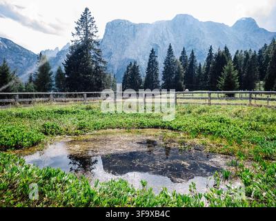 Un paysage serein mettant en vedette un petit bassin réfléchissant niché dans une pelouse verdoyante. Des arbres à feuilles persistantes imposants et des montagnes majestueuses dominent la ba Banque D'Images
