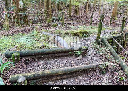 Un vieux tuyau couvert de mousse gît à côté du sentier naturel de Sukumogawa près de Hakone, préfecture de Kanagawa, Japon. Banque D'Images