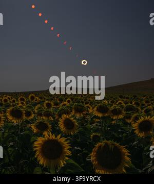 San Millan de los Caballeros, Espagne. 12 août 2026. Une image composite de huit photos montrant la progression d'une éclipse solaire totale alors qu'elle passe au-dessus d'un champ de tournesols, le 12 août 2026 depuis San Millán de los Caballeros, Espagne. Une éclipse solaire totale a balayé des parties du Groenland, de l'Islande, du nord de la Russie, de l'océan Atlantique, de l'Espagne et d'un petit coin du Portugal. Une éclipse partielle était visible dans certaines parties des États-Unis, dans la majeure partie du Canada, dans une grande partie de l'Europe et dans le nord-ouest de l'Afrique. Credit: Bill Ingalls/NASA/Alamy Live News Banque D'Images