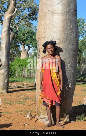 MADAGASCAR, côte sud-ouest, ville de Toliara, village de Mangily, arbres baobab / MADAGASCAR, côte sud-ouest, ville de Toliara, ville française Tulear, village de Mangily, arbres de pain ou arbres baobab Banque D'Images