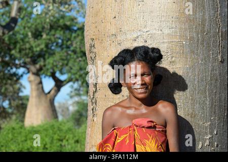 MADAGASCAR, côte sud-ouest, ville de Toliara, village de Mangily, arbres baobab / MADAGASCAR, côte sud-ouest, ville de Toliara, ville française Tulear, village de Mangily, arbres de pain ou arbres baobab Banque D'Images