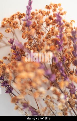 Bouquet de fleurs séchées comprenant de la lavande violette et de la gypsophile orange avec flou sélectif Banque D'Images