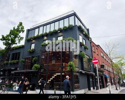 Dublin, Irlande - 22 mai 2026 : Pub d'angle contemporain à Dublin, en Irlande, avec de grandes fenêtres, des plantes suspendues et des gens qui passent. Banque D'Images
