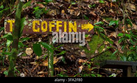 Un panneau en bois usé marqué « COFFIN » avec une flèche directionnelle se dresse parmi le feuillage mouillé, la mousse et la litière de feuilles au sol de la forêt tropicale. Banque D'Images