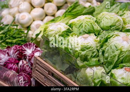 Un assortiment vibrant de têtes de laitue verte croquante et de feuilles de radicchio rouge profond est soigneusement disposé dans la section fruits et légumes d'une épicerie Banque D'Images