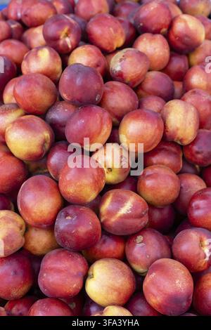 Une pile de nectarines rouges éclatantes, mûres et prêtes à être vendues Banque D'Images