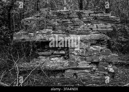 Vue en noir et blanc d'une structure de bâtiment en pierre d'ardoise en ruine dans les bois à Dorothea Quarry Banque D'Images