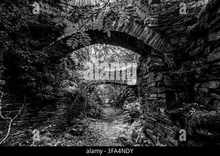 Vue monotone de ponts en arcs de pierre envahis par la végétation le long d'un sentier à la carrière Dorothea Banque D'Images