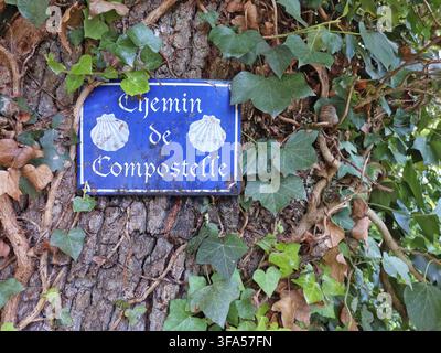 Sur un tronc d'arbre couvert de lierre. Fixé sur l'arbre, avec une icône de coquille bleue et blanche Banque D'Images