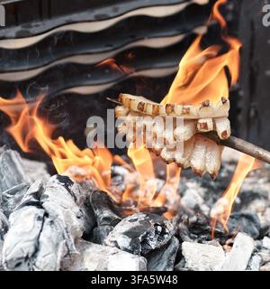 Bacon fumé roumain traditionnel rôti sur un bâton en bois au-dessus d’un feu de charbon ardent avec des flammes vives et des braises rougeoyantes en Roumanie. Banque D'Images