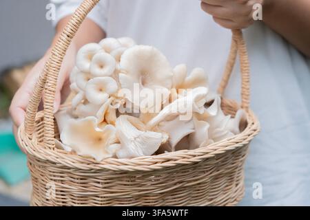 Femme tenant un panier en osier rempli de champignons fraîchement cueillis. Récolte de produits biologiques dans un jardin extérieur à la maison. Banque D'Images