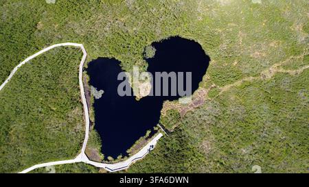 Vue aérienne époustouflante par drone d'un lac sombre en forme de cœur entouré d'une forêt verte dense avec un sentier sinueux bordé de planches menant à l'eau. Banque D'Images