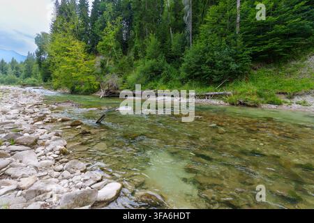 Les eaux peu profondes et cristallines de l'Ammer coulent le long d'une rive de galets rocheux et d'une forêt alpine verte et dense dans la réserve naturelle pittoresque du Goulet de l'Ammer Banque D'Images