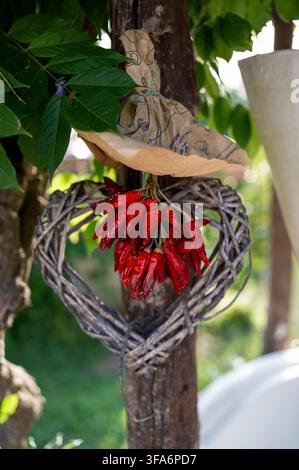 Bouquet de piments rouges séchés suspendus à une couronne en osier en forme de cœur, attachée à un poteau en bois dans un jardin en Italie Banque D'Images