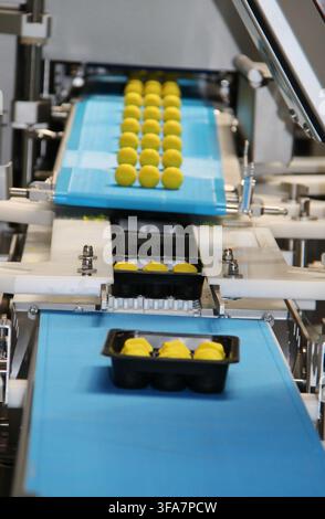 Machine de traitement des aliments chargeant des boules dans des plateaux en plastique. Banque D'Images
