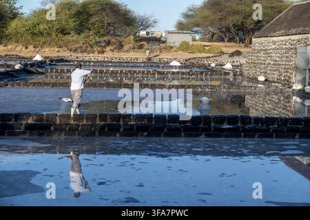 Travail dans les marais salants du Yémen, Maurice. Banque D'Images