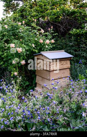 Ruche parmi les fleurs dans un jardin clos d'une maison géorgienne dans les frontières écossaises, Royaume-Uni. Banque D'Images