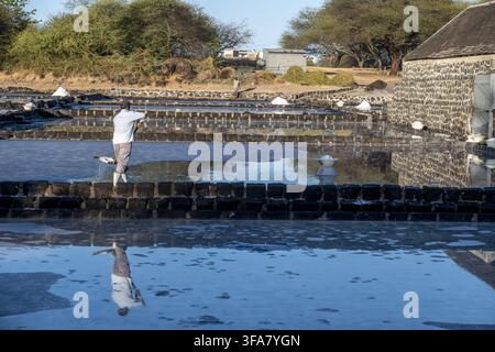 Travail dans les marais salants du Yémen, Maurice. Marais salants Bsip 016983 1352 Banque D'Images