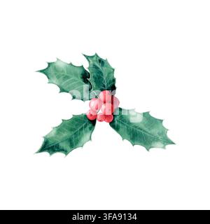 Branche de houx aquarellée avec des baies rouges isolées, clip art. Illustration botanique dessinée à la main pour les fêtes hivernales, cartes de vœux du Nouvel An Banque D'Images