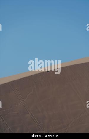 Homme solitaire escaladant une immense dune de sable dans le désert d'Ica au Pérou, entouré de vastes paysages arides Banque D'Images