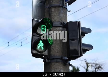 Signal de passage piéton avec feu vert et compte à rebours, sécurité routière urbaine et contrôle de la circulation Banque D'Images