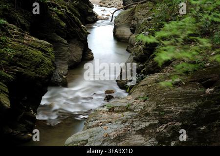 Photographie d'un petit cours d'eau rapide naturel provenant d'une cascade entre des falaises rocheuses, prise avec une vitesse d'obturation lente qui a rendu une partie des arbres flous Banque D'Images