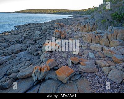 Côte près de Surfleet Cove, parc national de Lincoln Banque D'Images