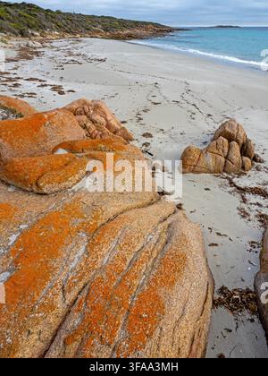 September Beach, parc national de Lincoln Banque D'Images