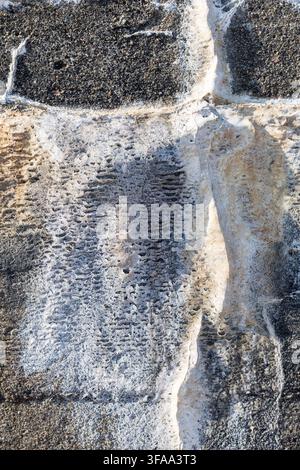Mur de briques avec du salpêtre blanc, nitrate de potassium Banque D'Images