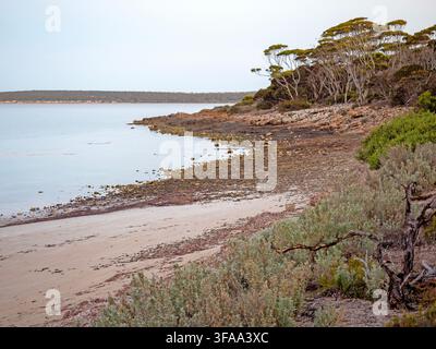 Surfleet Cove, parc national de Lincoln Banque D'Images