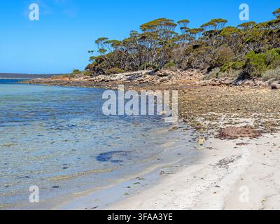 Surfleet Cove, parc national de Lincoln Banque D'Images