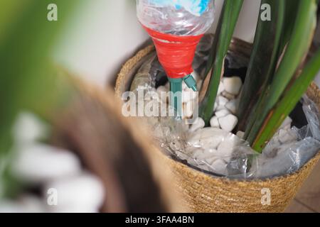 Système d'arrosage des plantes avec bouteille en plastique et cailloux Banque D'Images