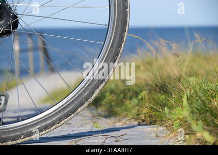 Un gros plan d'une roue de vélo avec du sable sur le pneu, garée sur une promenade en bois à côté de l'herbe des dunes, capturant une ambiance estivale détendue au bord de la mer et la côte en plein air Banque D'Images