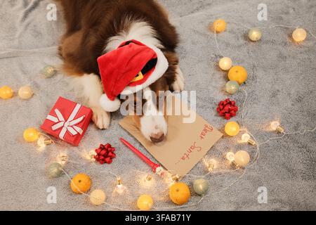 Shepherd australien portant un bonnet du Père Noël repose à côté d'une lettre au Père Noël avec des cadeaux et des lumières. Une atmosphère festive chaleureuse exprime l'impatience des fêtes. Banque D'Images