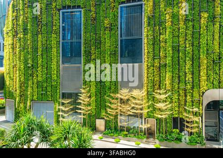 Façade revêtue d’un mur végétal vert sur un bâtiment moderne à Hong Kong. Jardin vertical, architecture biophile, design durable, biodiversité urbaine Banque D'Images