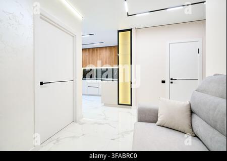 Appartement studio moderne et lumineux avec canapé gris et coin cuisine compact, intérieur résidentiel propre aux finitions haut de gamme. Design contemporain, confort et concept immobilier Banque D'Images