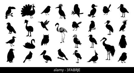 Ensemble de silhouettes d'oiseaux noirs dans différentes poses Illustration de Vecteur