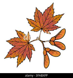 Illustration vectorielle d'une branche d'érable automnale avec feuilles et graines Illustration de Vecteur