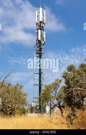 Une haute tour de télécommunications se dresse au milieu d'herbe sèche et d'arbres, diffusant des signaux sous un ciel partiellement nuageux Banque D'Images