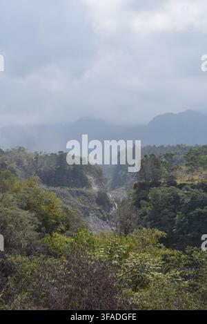 Vue luxuriante d'une vallée tropicale avec des couches d'arbres verts et des montagnes lointaines couvertes d'une épaisse brume et d'un brouillard. Bali, Indonésie. Banque D'Images