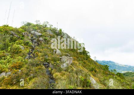 Un sentier serpente à travers une végétation vibrante et un terrain rocheux sur une colline sous un ciel nuageux à Bogotá, Colombie. Banque D'Images
