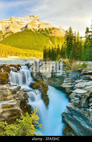 Les chutes Athabasca en automne, Jasper National Park, Alberta, Canada Banque D'Images