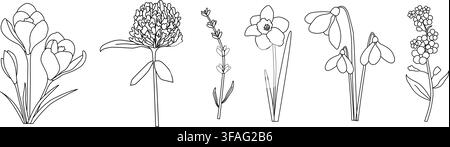 Illustration minimaliste en lignes de crocus, trèfle, lavande, jonquille, perce-neige et myosotis Illustration de Vecteur