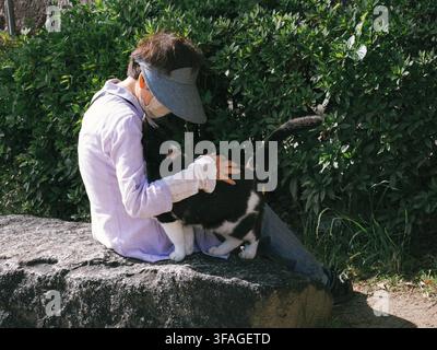 Femme caressant un chat noir et blanc sur un mur de pierre dans le parc d'Osaka Castle, Japon Banque D'Images