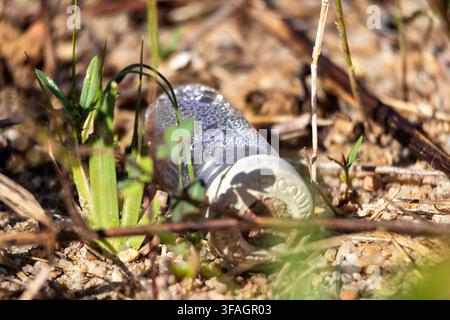 Grossissement d'une fiole de vaccin abandonnée dans l'environnement parmi des cailloux avec des gouttes d'eau à l'intérieur et contre-jour Banque D'Images
